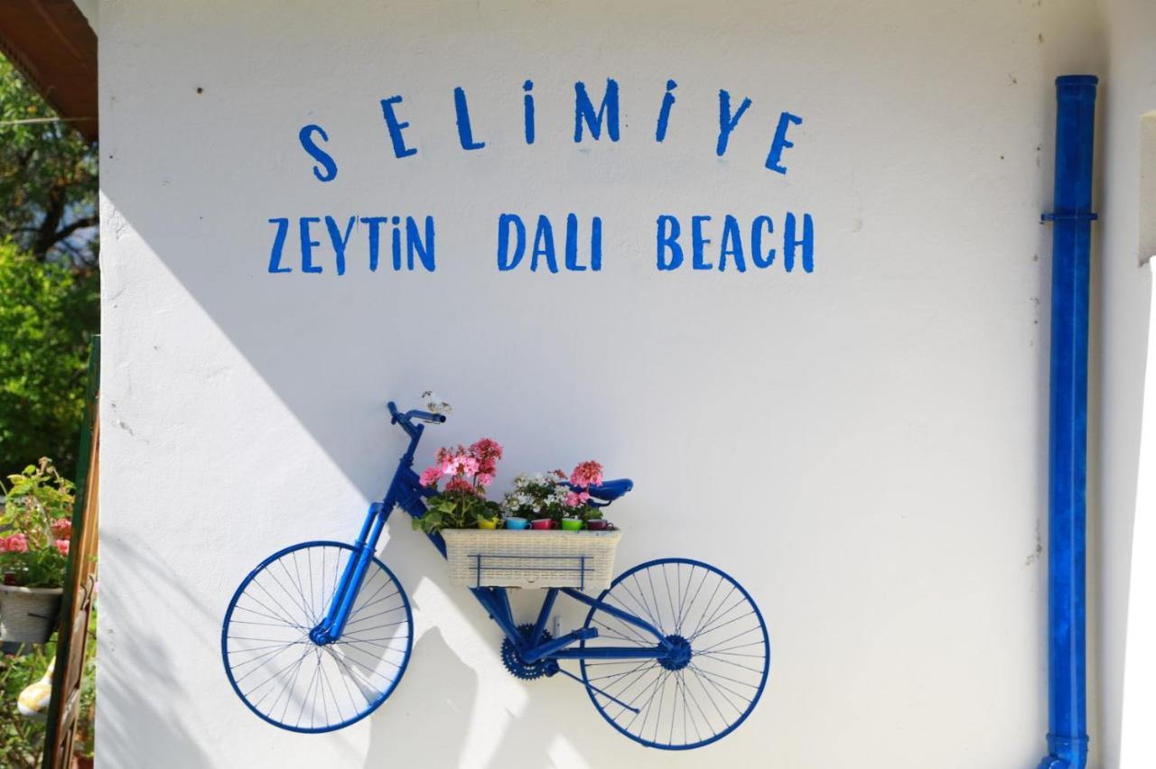 Zeytin Dali Butik Otel Selimiye (Aegean) Exterior photo